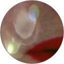 Rachel Varvarande profile picture